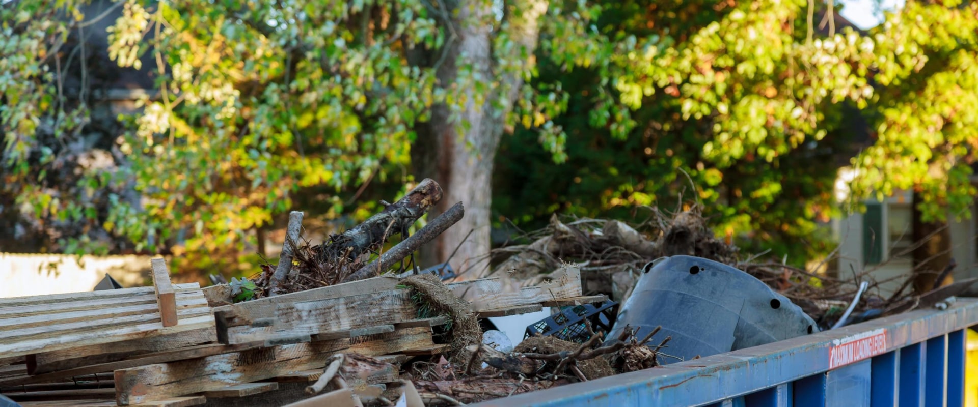 How To Safely Dispose Of Tree Pruning Debris By Hiring The Best