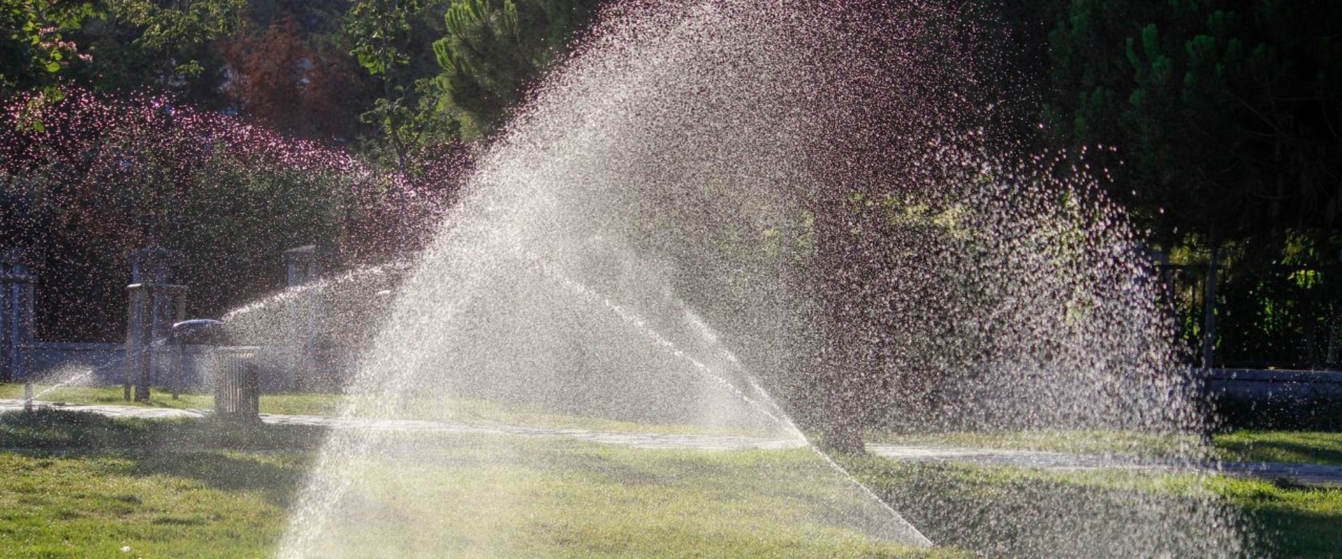 From Tree Pruning To Sprinkler System Installation A Guide To