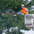 Coordinating Tree Pruning with Electrical Maintenance for Better Results