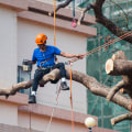 Top Crane Hire Solutions For Challenging Tree Pruning Tasks In Geelong