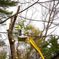 Bethany's Tree Care Service: Ensuring Longevity Through Pruning Practices