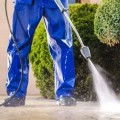 Creating a Cleaner Landscape with Tree Pruning and Pressure Washing Services