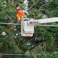 How Regular Pruning Protects Nearby Electrical Infrastructure