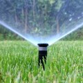 Sprinkler Heads Vs. Roots: How Tree Pruning Minimizes The Need For Repair Services In Northern VA