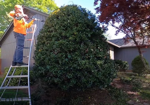 Can i keep a tree small by pruning?