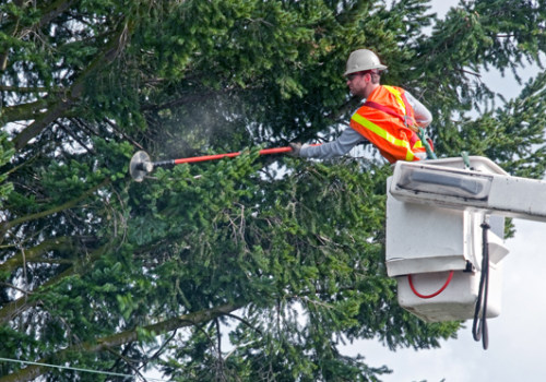 Coordinating Tree Pruning with Electrical Maintenance for Better Results
