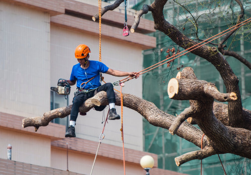 Top Crane Hire Solutions For Challenging Tree Pruning Tasks In Geelong
