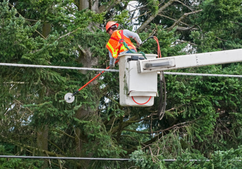 How Regular Pruning Protects Nearby Electrical Infrastructure