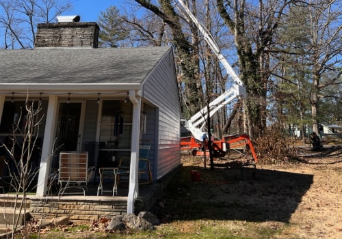 The Art Of Tree Pruning: How Professional Services In Johnson City Can Transform Your Landscape
