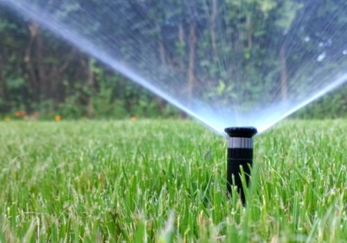 Sprinkler Heads Vs. Roots: How Tree Pruning Minimizes The Need For Repair Services In Northern VA