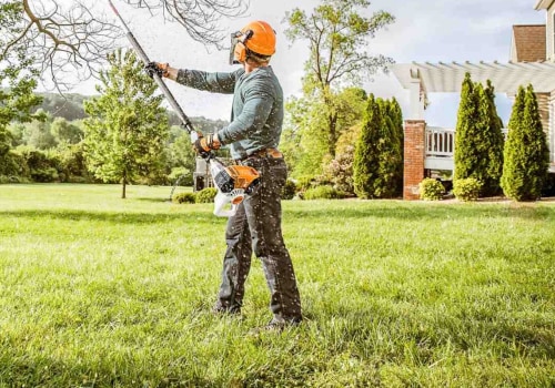 What does trimming a tree mean?