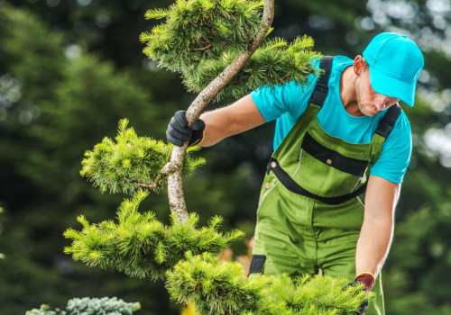 The Overlooked Role of Tree Maintenance in Protecting Outdoor Property Surfaces